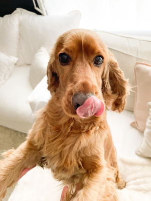 アマンダ・スキナーとオリー